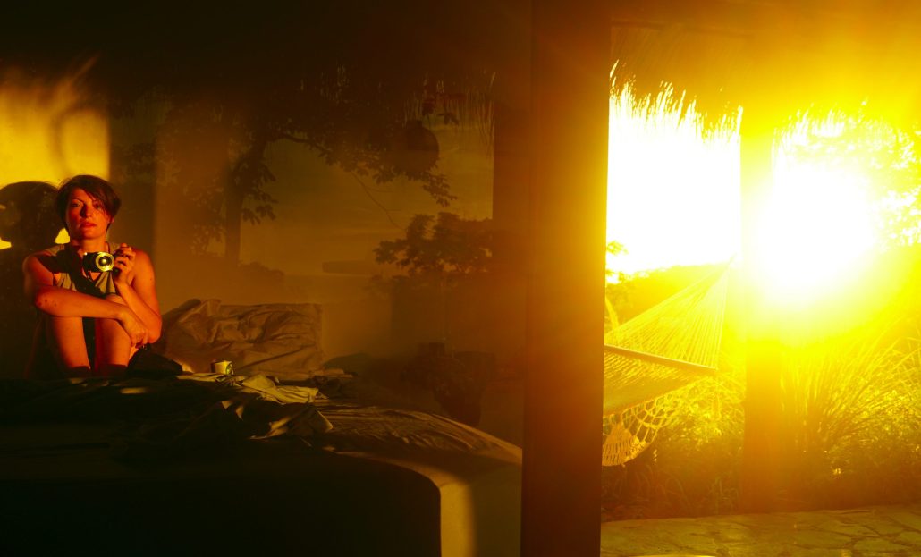 sunset in the jungle