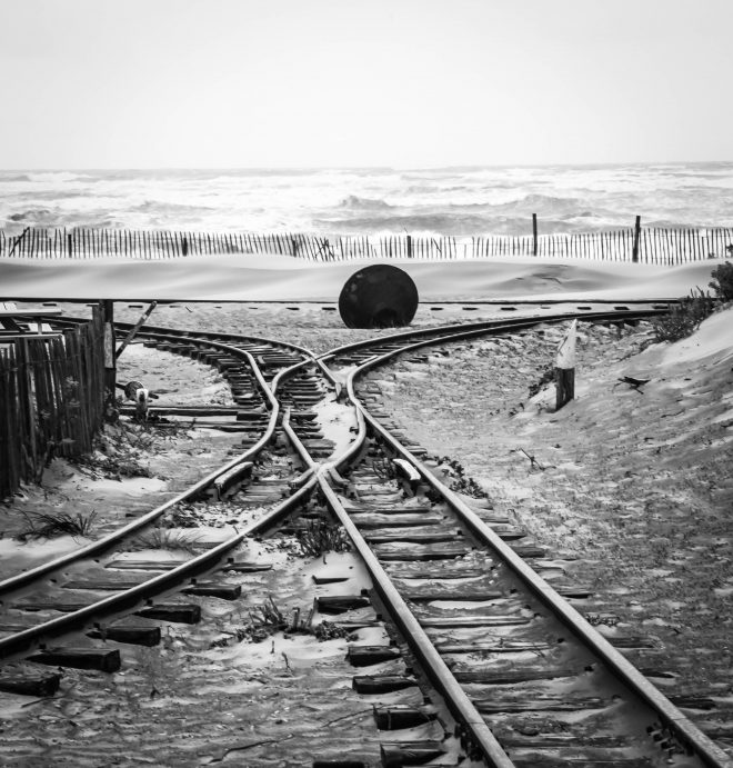 tracks of life