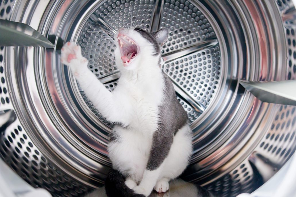 You shall not pass…