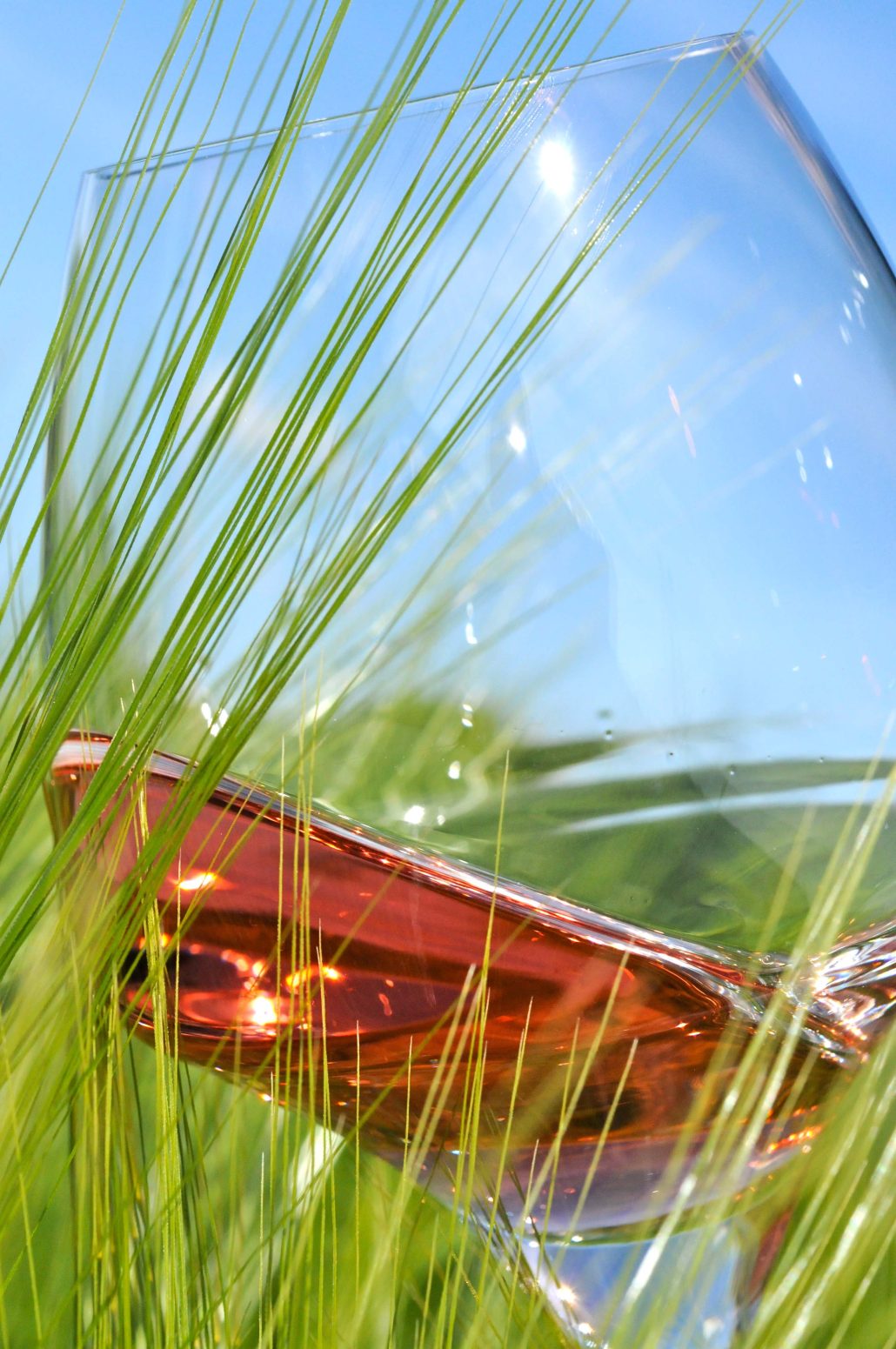 Un rosé pour l’été?