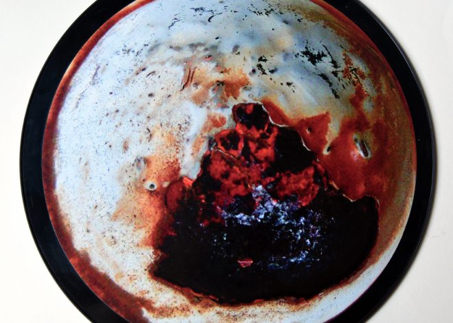 Les photographes des Ateliers du Père Lachaise Associés