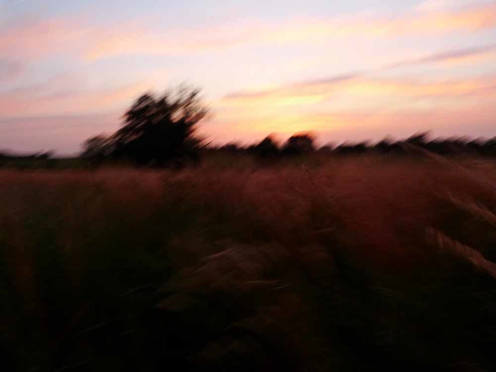 10 heures 20 du soir, les dernières lueurs