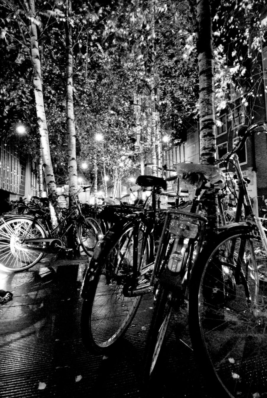 Vélos…cité…l’euphorie !