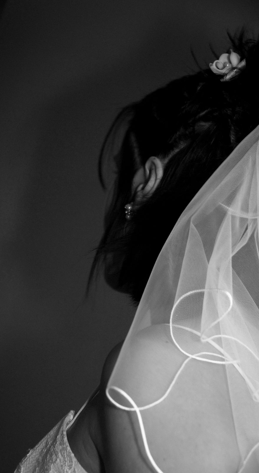 Jour "J " ( le voile est levé !)