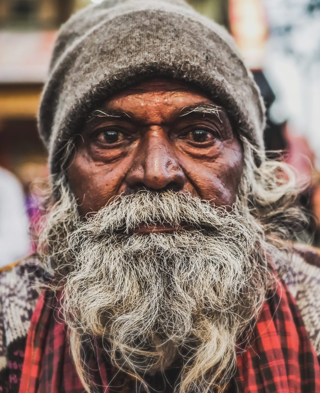 India[n] Portrait #4