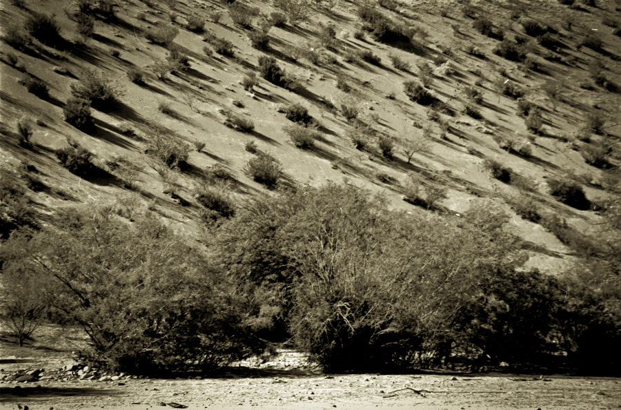 Dune de sable – Parque Naciónal Ishigualasto
