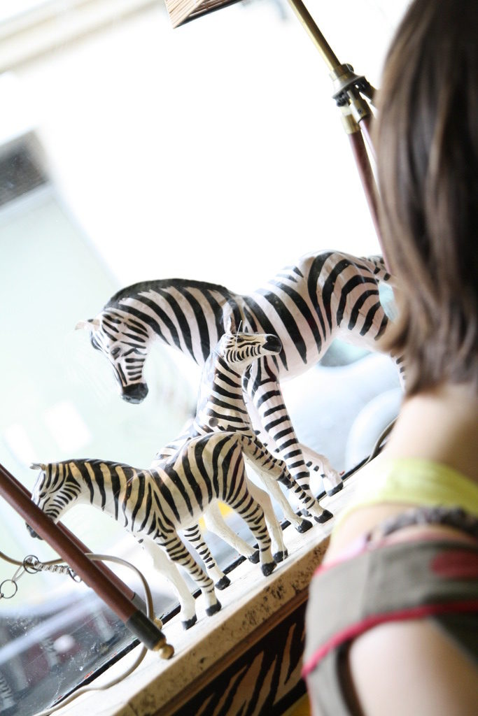 BAr : le zébre à poix