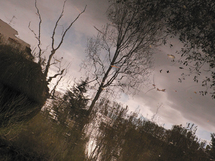 Scared water before halloween