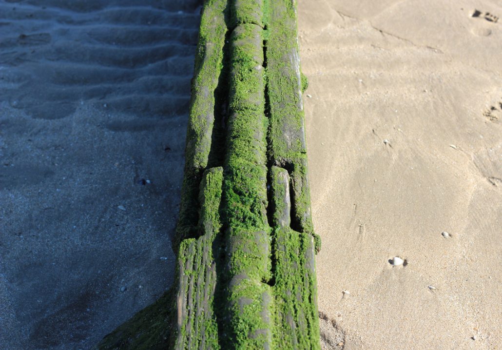 Dark side of the beach