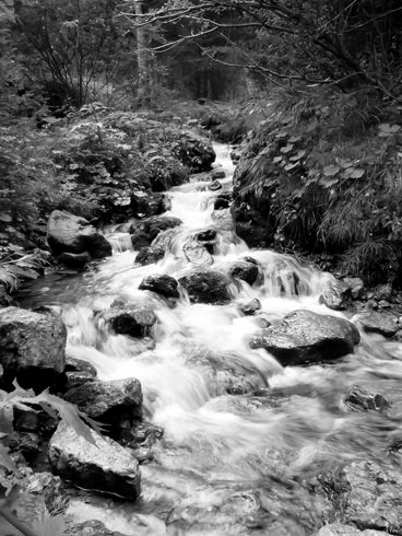 un long fleuve tranquille