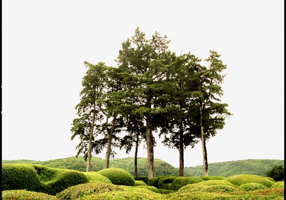 Jardin de Marqueyssac