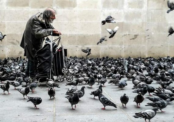 Giuseppe et les pigeons de Pompidou