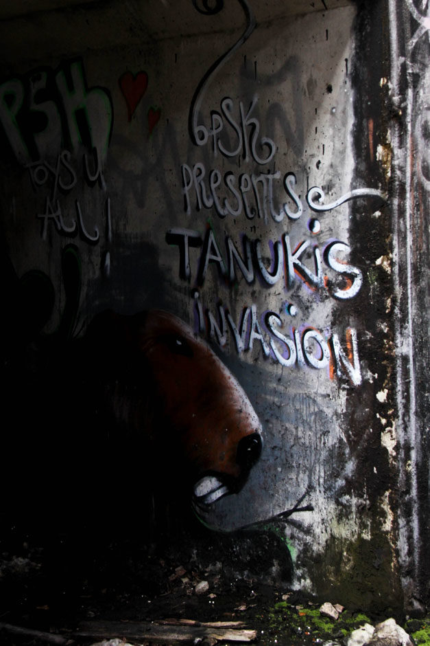 L’invasion Tanuki !