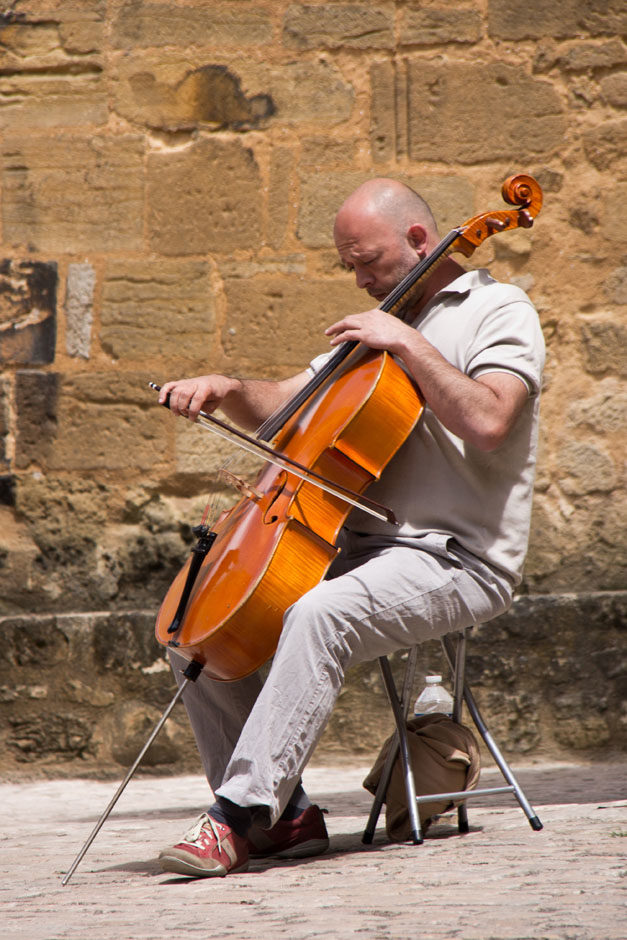 Le violoncelliste