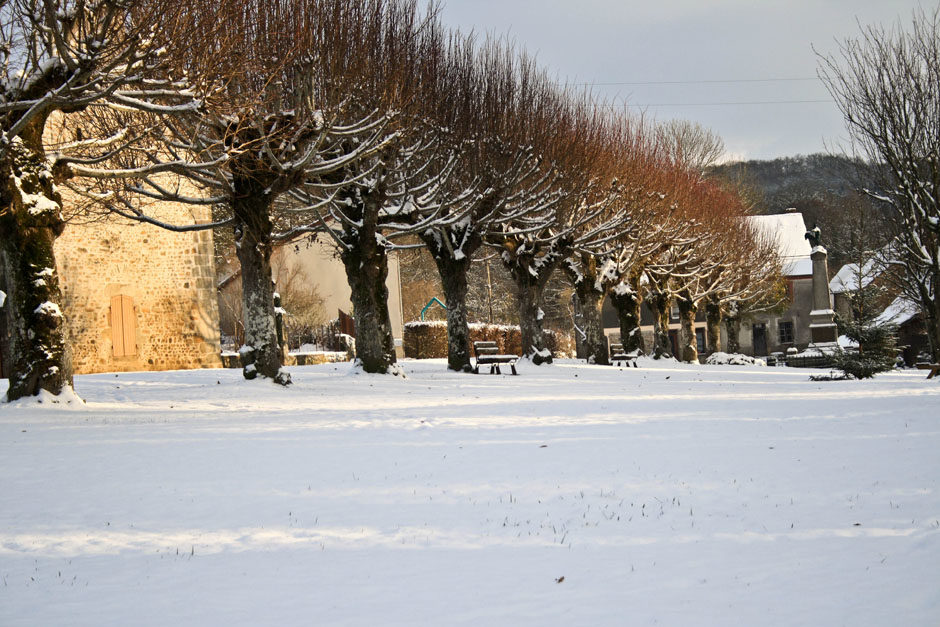 Place des arbres (hiver 2010)