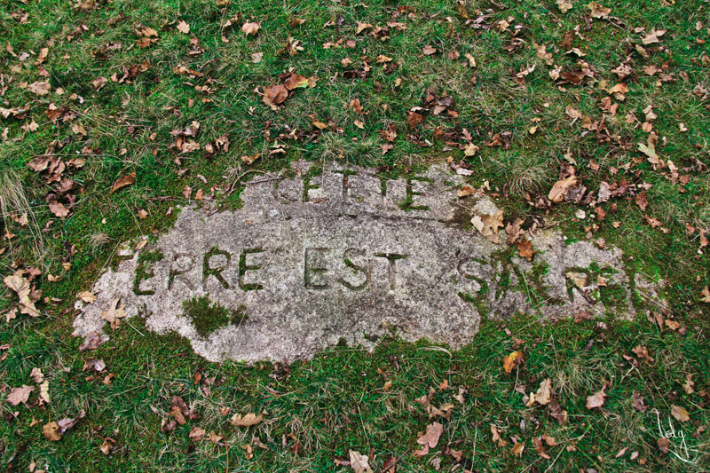 Cette Terre est sacrée !