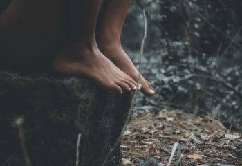 The Boy and The Forest