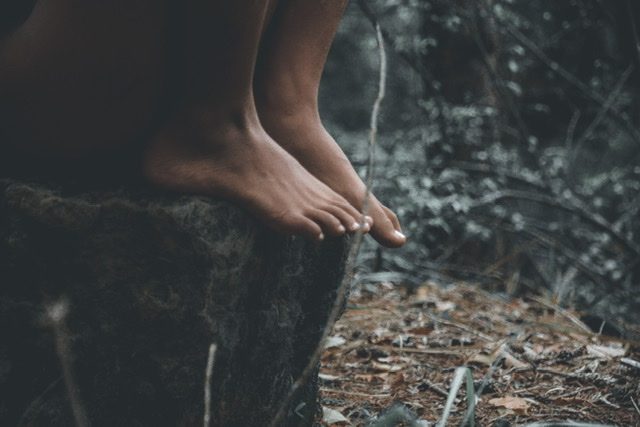 The Boy and The Forest