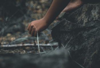 The Boy And The Forest (2)