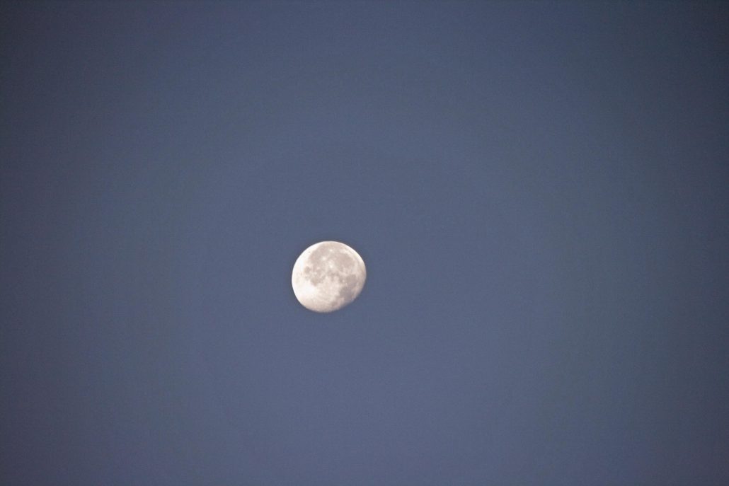 Moon In the Sky