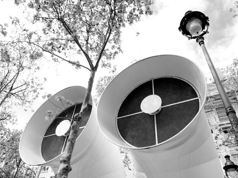 Un arbre entre deux cheminées