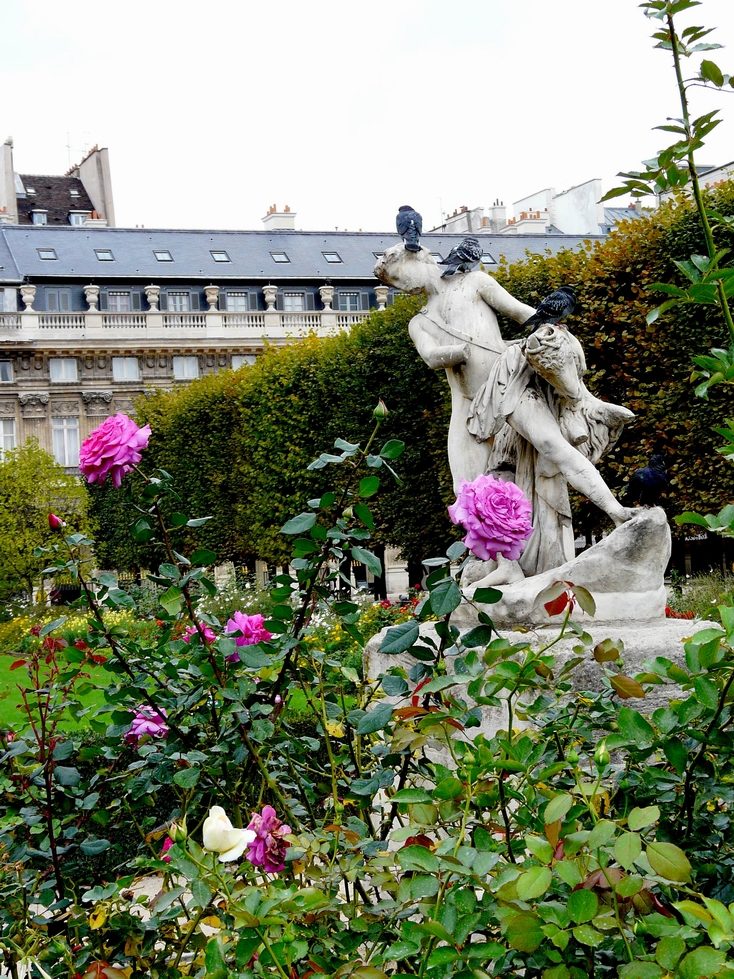 Des roses au Jardin du Palais royal