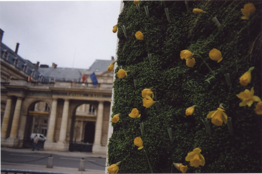 Invasion printanière