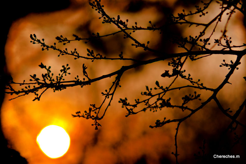 soleil couchant a Timisoara