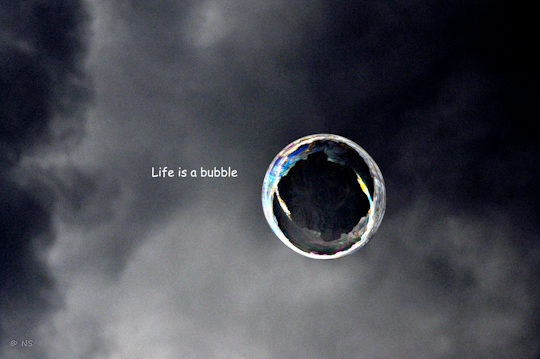 life is a bubble