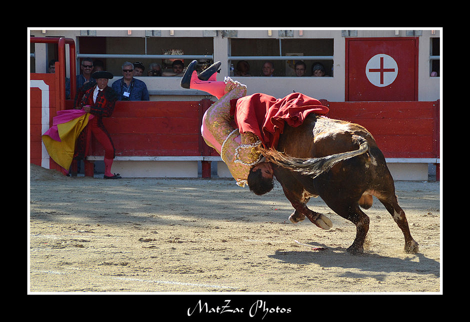 La revanche du taureau