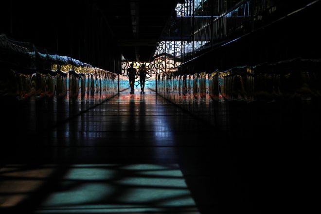 Perdus dans la couleur