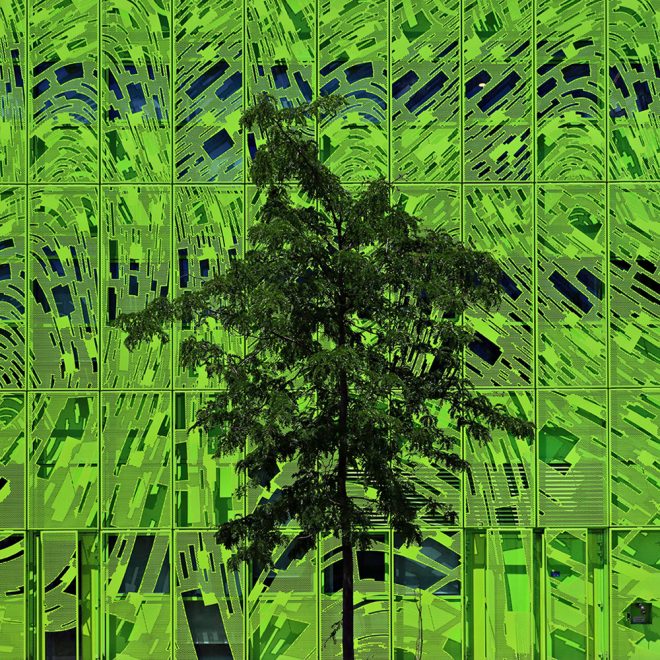 J'aime la couleur VERT sur VERT