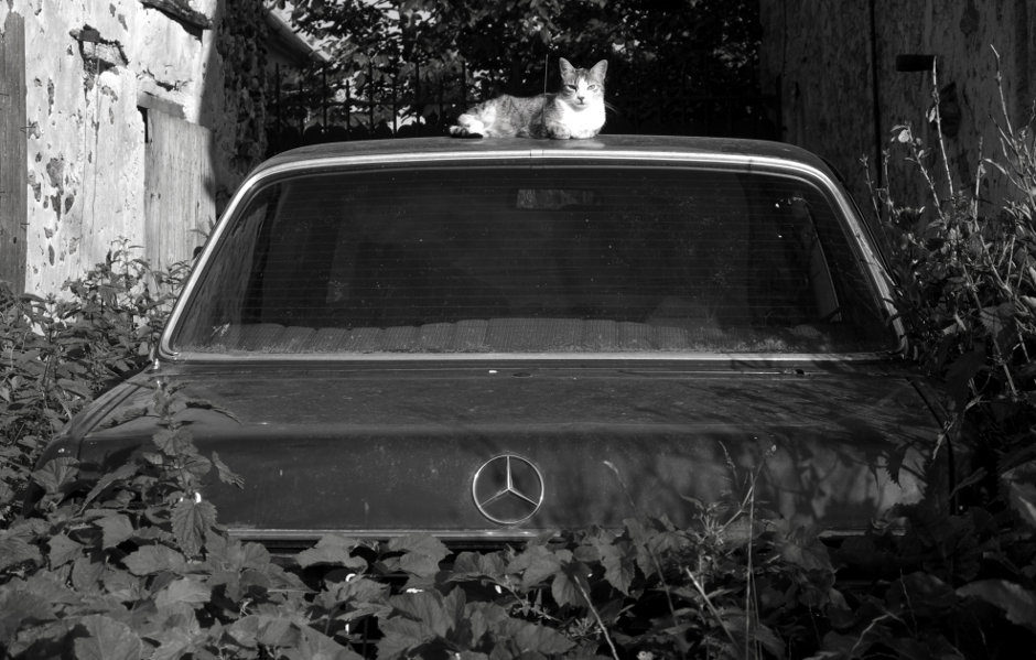 élégance tranquille