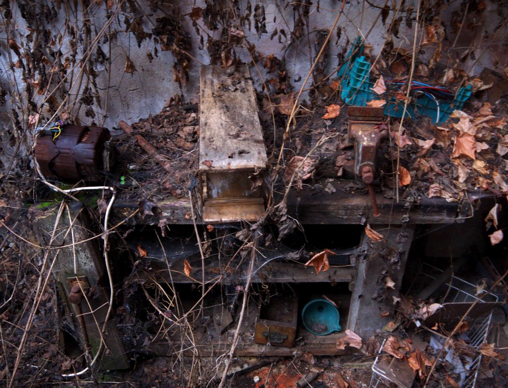 nature’s reclaim mouvment…