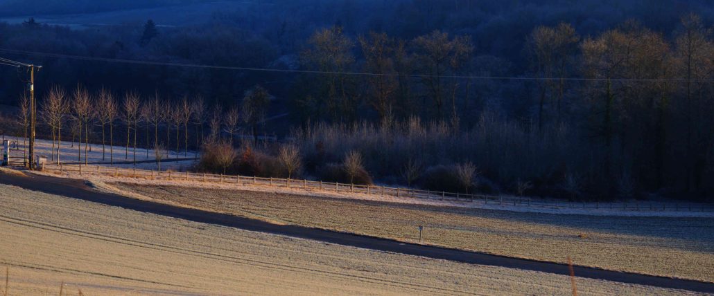 take the long road home