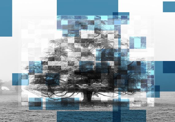 Blue sky in the dark