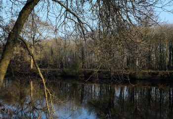 reflect in the reservoirs