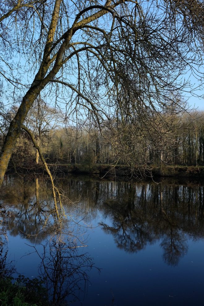 reflect in the reservoirs