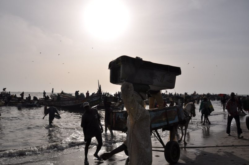 L’arrivée des pêcheurs
