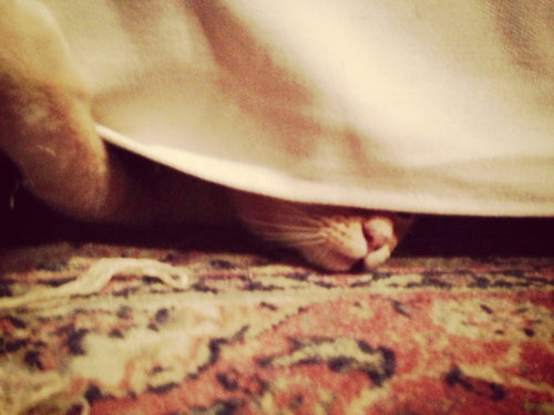 Sous le lit
