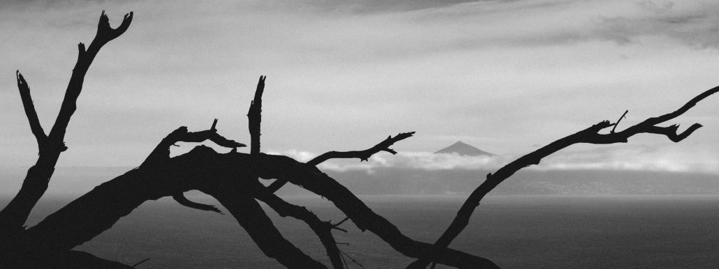 Sérénité du Mont Teide