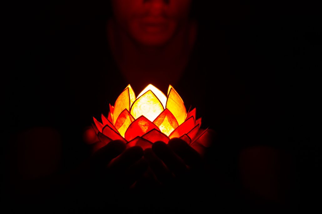 light lotus