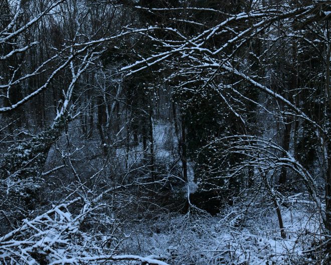 les bois sont impénétrables 06