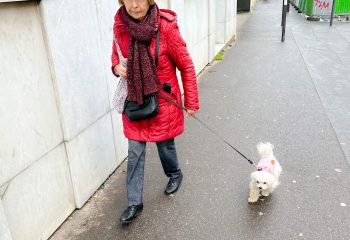 Madame promène son chien ..