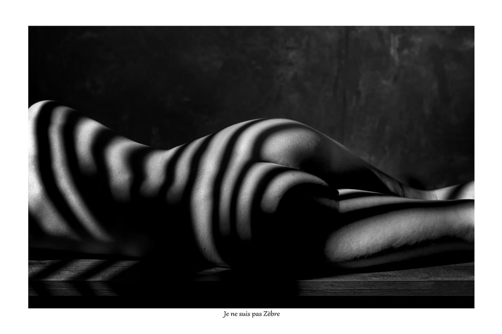 Je ne suis pas Zèbre