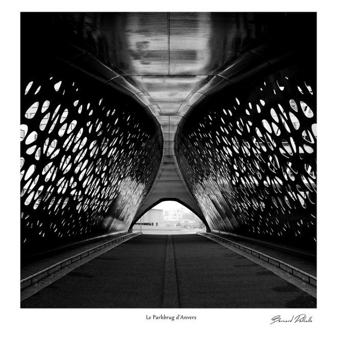 Le Parkbrug d'Anvers