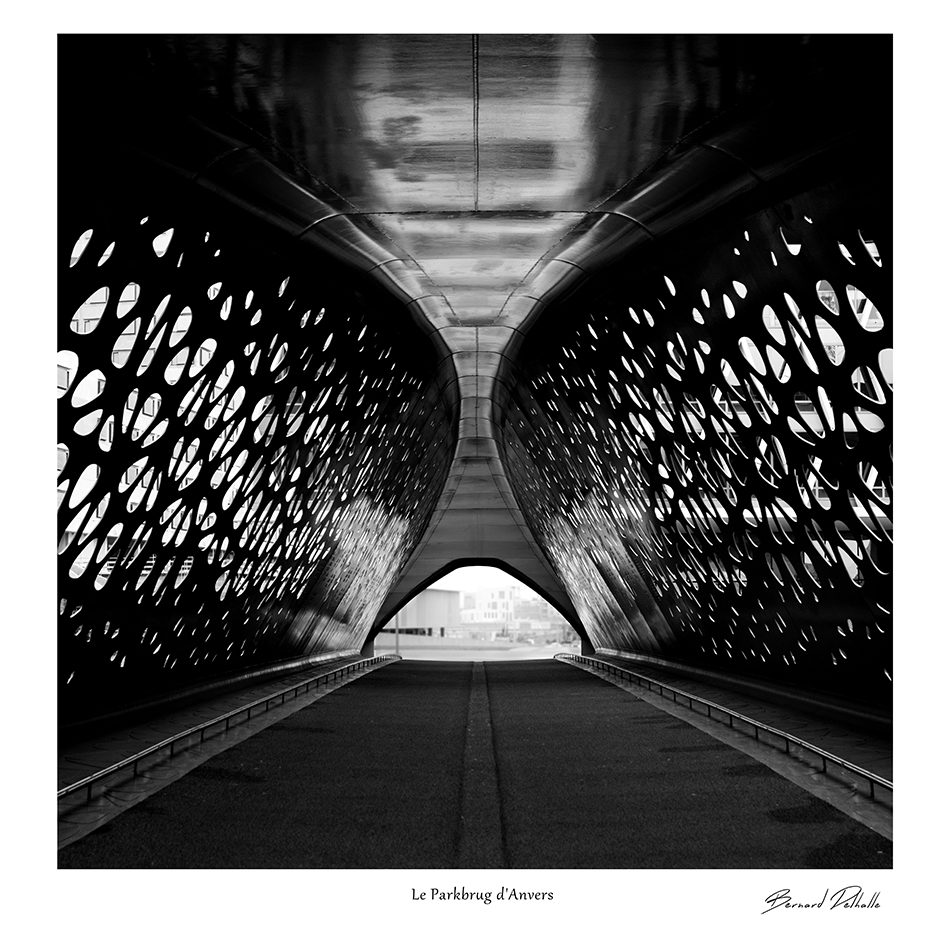 Le Parkbrug d’Anvers