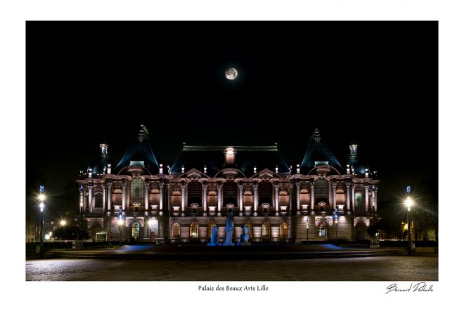 Palais des Beaux Arts Lille