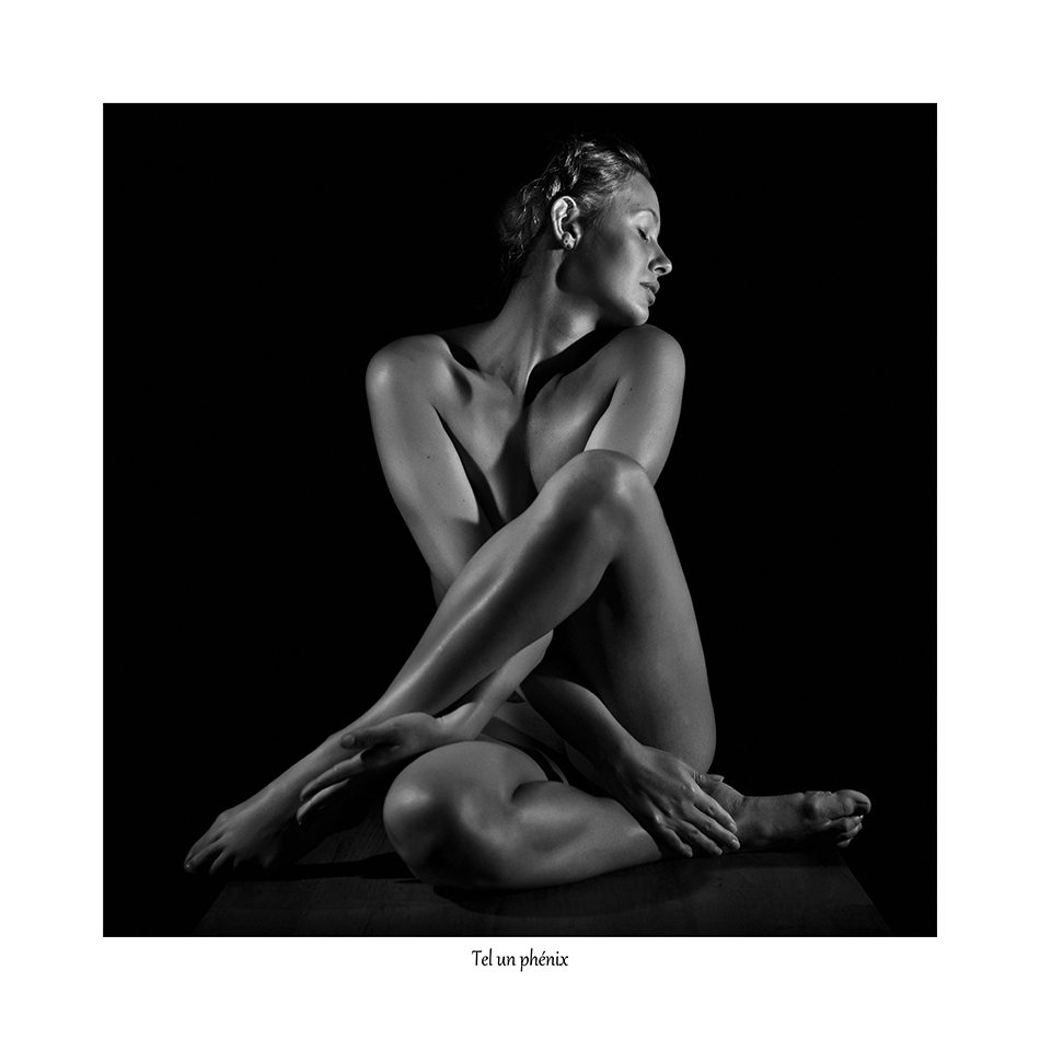 Tel un Phénix