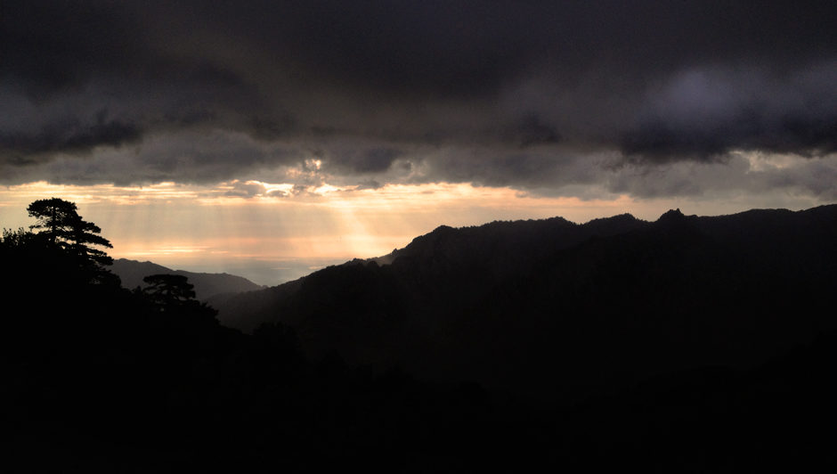 A morning in the life